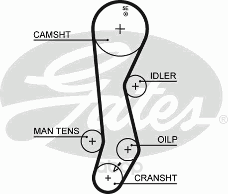 

Ремень ГРМ Gates 5389XS
