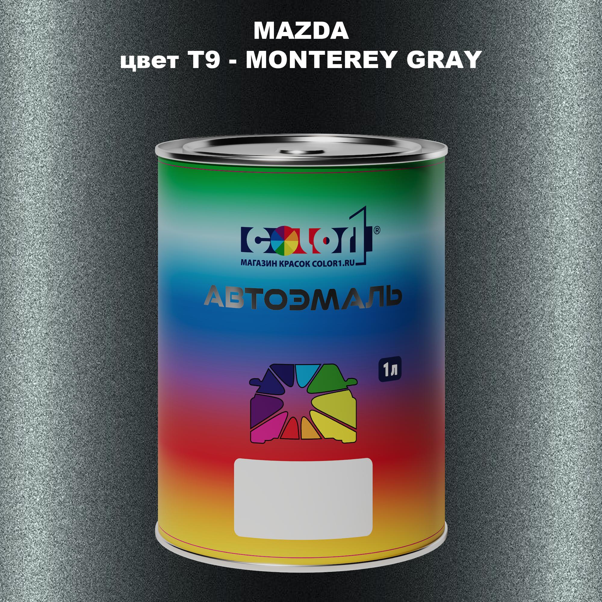 

Автомобильная краска COLOR1 для MAZDA, цвет T9 - MONTEREY GRAY, Серый
