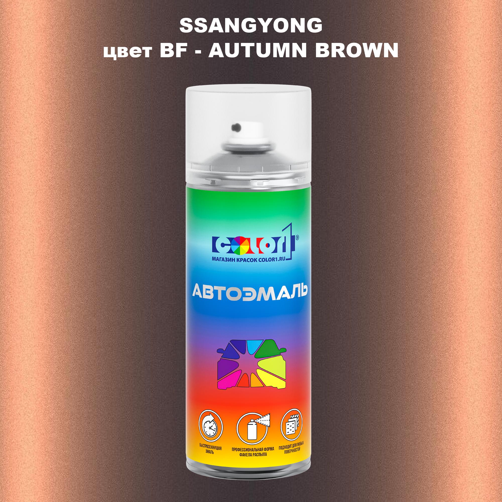 

Аэрозольная краска COLOR1 для SSANGYONG, цвет BF - AUTUMN BROWN, Прозрачный