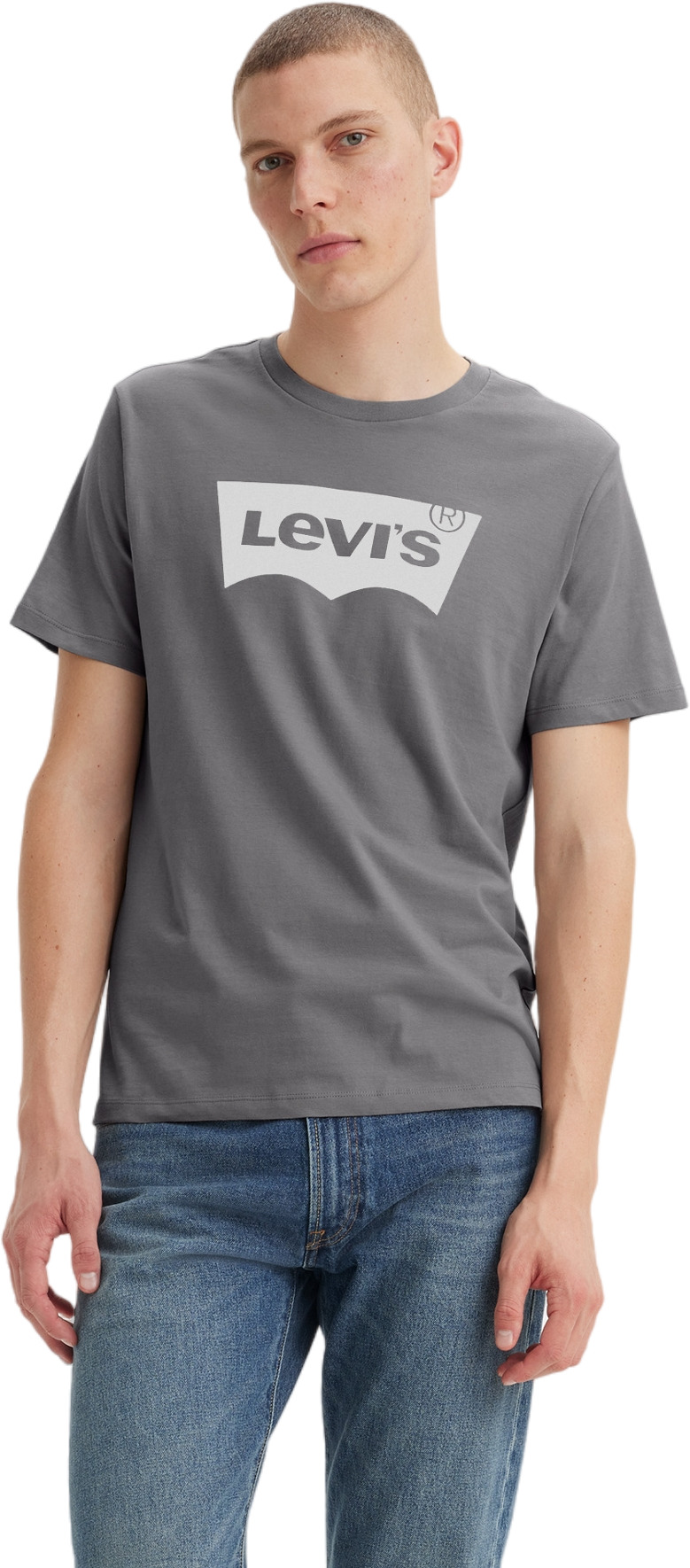 

Футболка мужская Levi's Men Graphic Crewneck Tee серая XL, Серый, Men Graphic Crewneck Tee