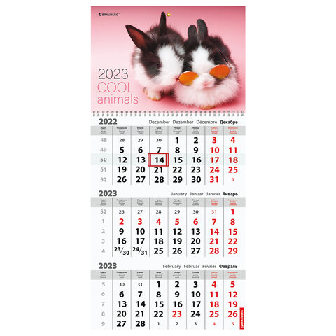 

Календарь квартальный на 2023 г., "COOL BUNNIES", BRAUBERG, 114239
