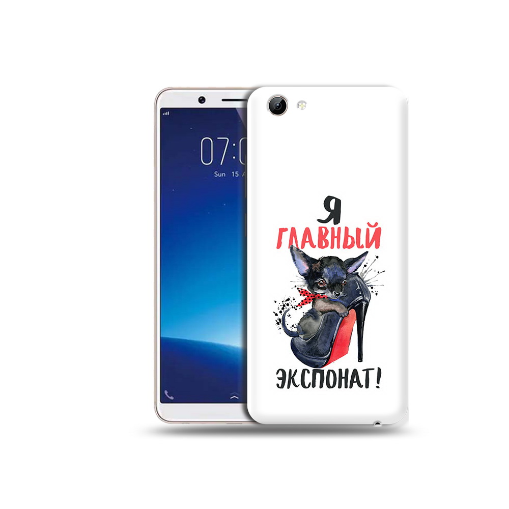 

Чехол MyPads Tocco для Vivo Y71 главный экспонат (PT111858.440.288), Прозрачный, Tocco