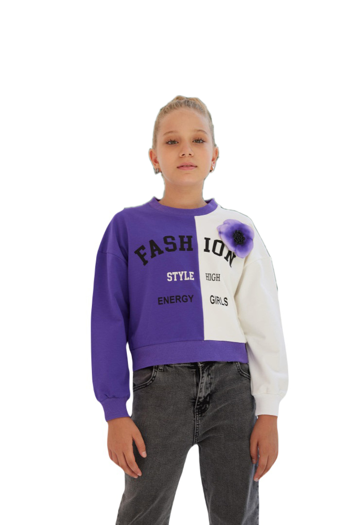 

Свитшот Little Star Girls р. 12-13 лет Пурпурный, L11823K2878 (доставка из-за рубежа), Фиолетовый, L11823K2878