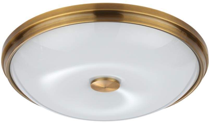 

Odeon Light Настенно-потолочный светильник Pelow 4956/4