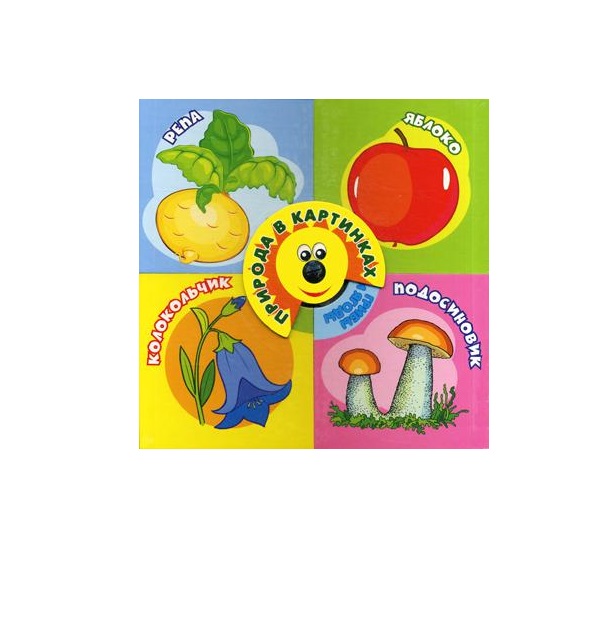 

Книга Для самых маленьких. Природа в картинках. 4 книги в 1