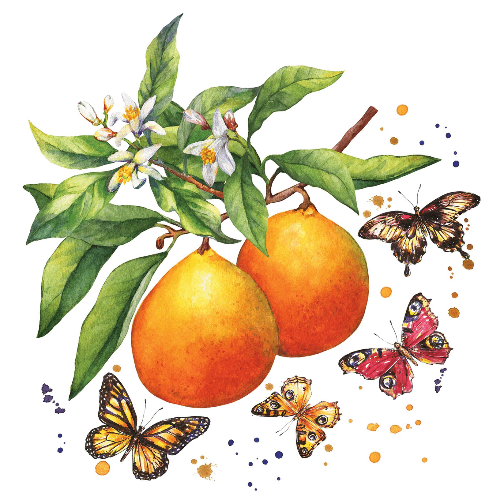 

Салфетки Paper+Design Fruity Butterflies 3-слойные 33х33 см 20 шт, Разноцветный