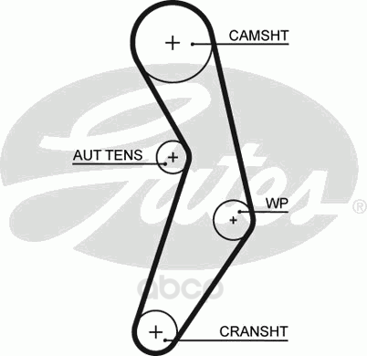 

Ремень ГРМ Gates 5503XS
