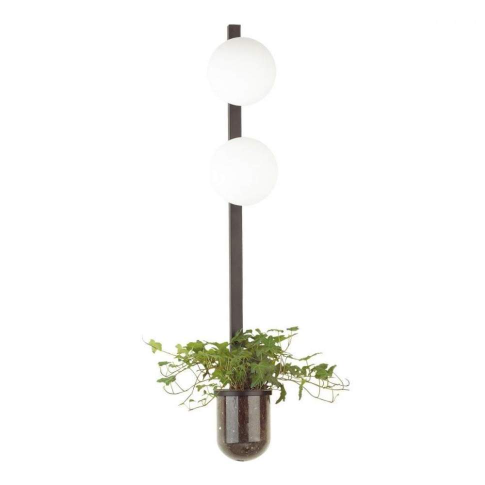 

Бра Odeon Light Flower 4681/2WA