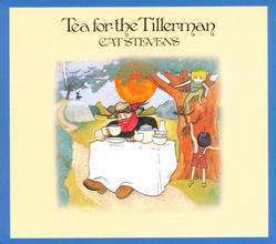 Cat Stevens Tea For The Tillerman - Vinil 180 gram