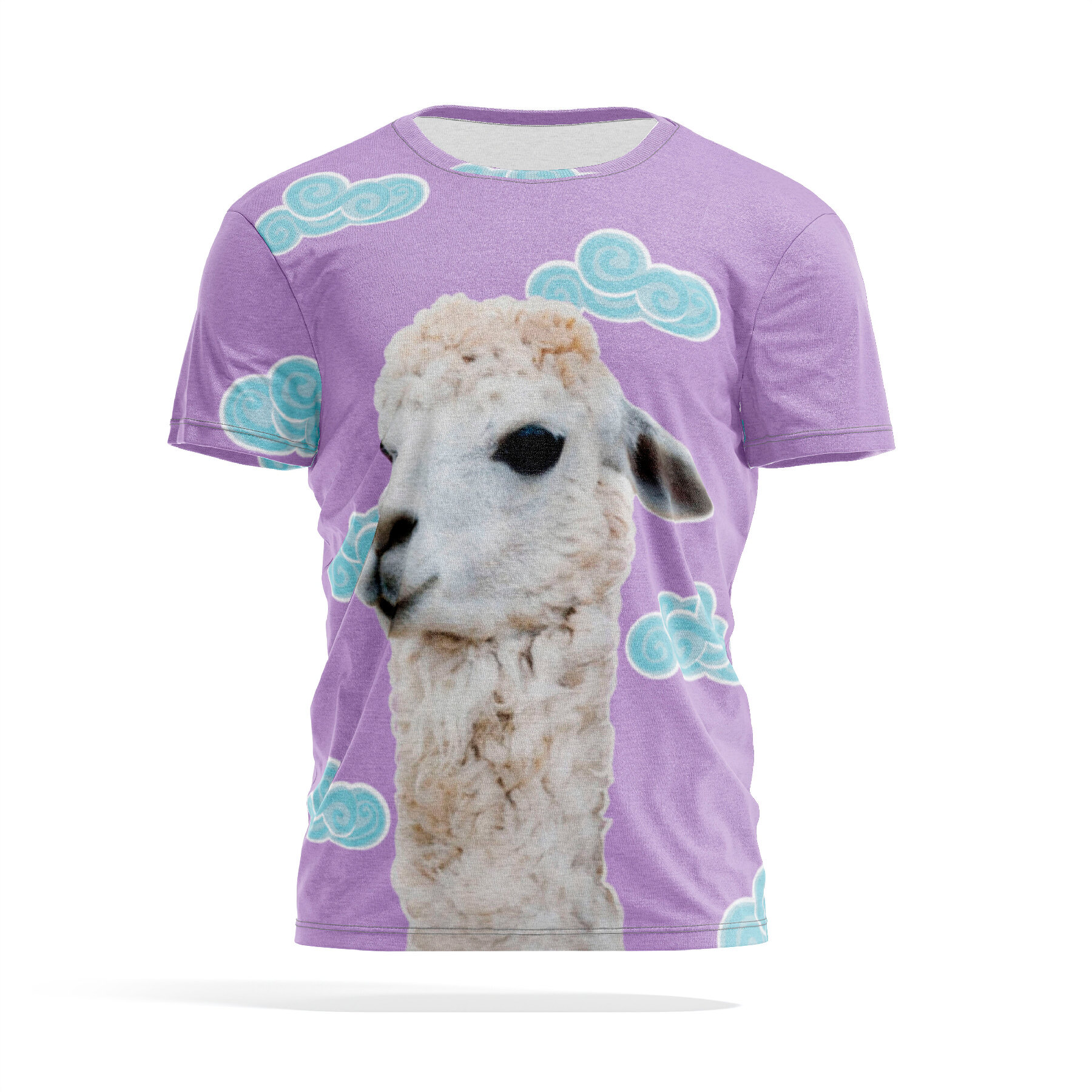 

Футболка мужская PANiN PaninManTshirtVM_5_8_VM1713203 разноцветная 5XL, Фиолетовый, PaninManTshirtVM_5_8_VM1713203