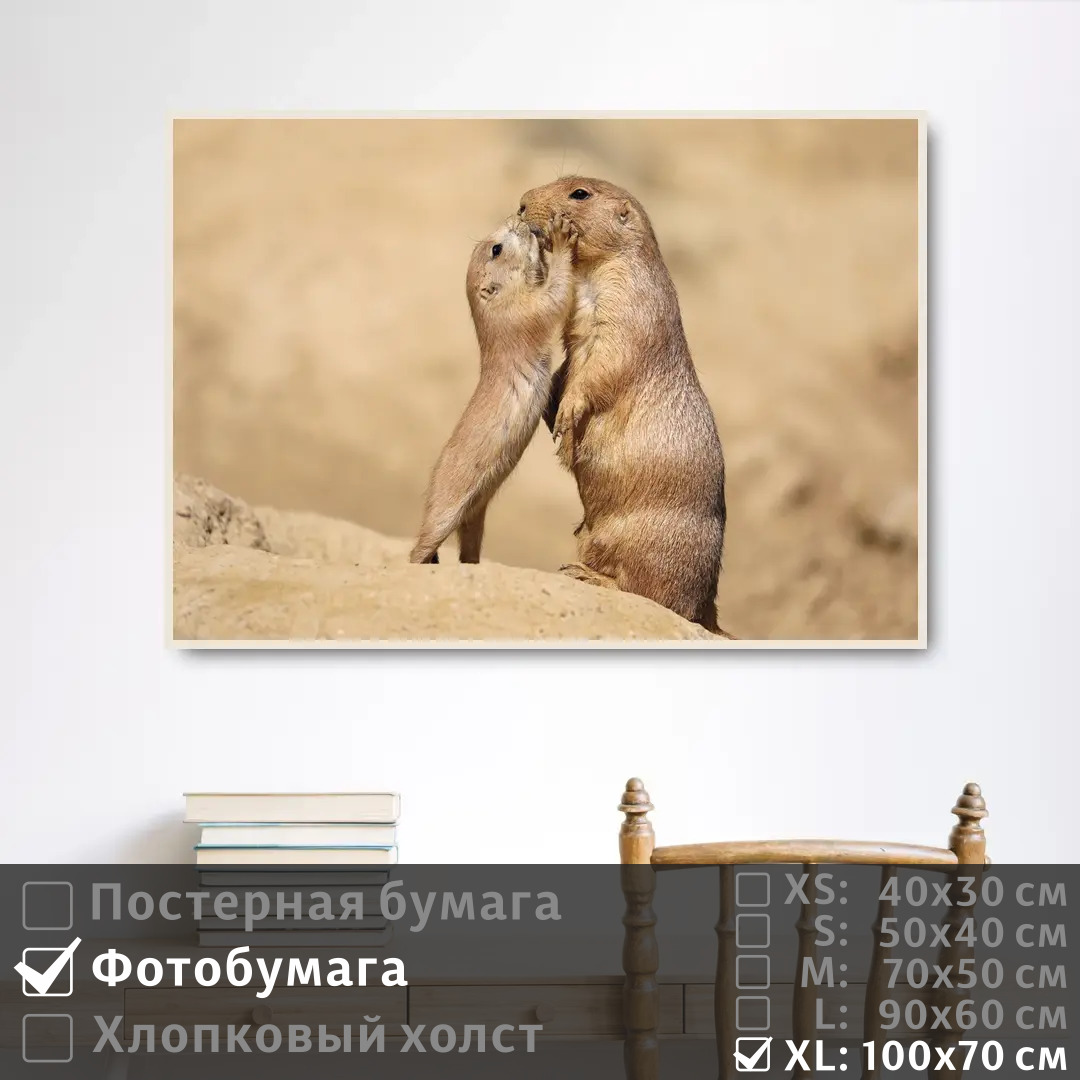 

Постер на фотобумаге ПолиЦентр Ребенок суриката целует свою маму 100х70 см, РебенокСурикатаЦелуетСвоюМаму1