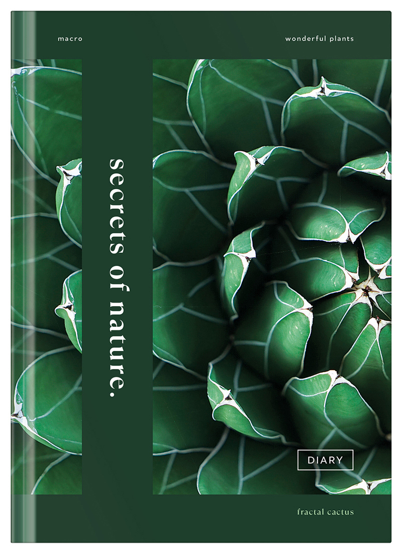 

Записная книжка А5 64л. BG "Secrets nature", матовая ламинация, блок-еженедельник