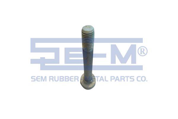 

Болт Полурессоры М M24X2X170 Bpw SEM LASTIK 10911