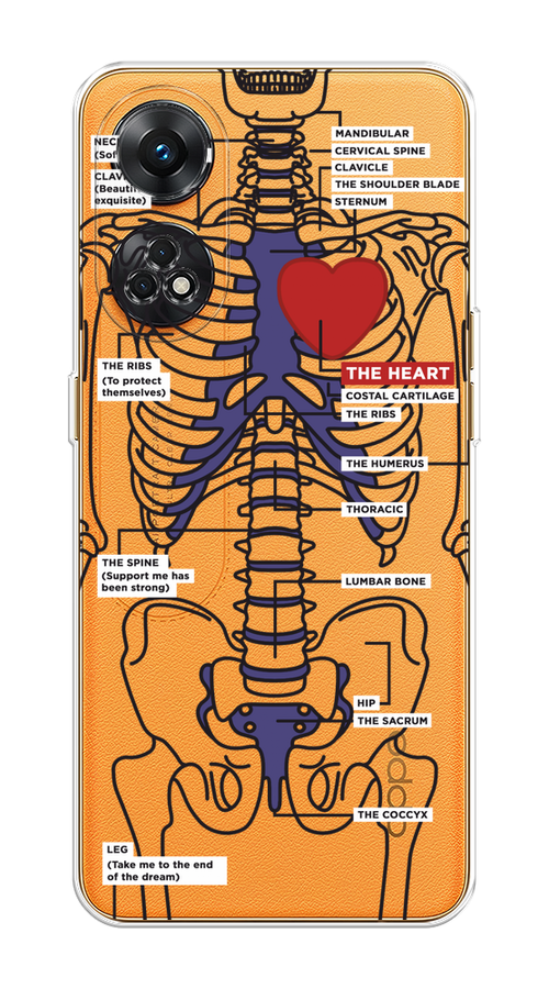

Чехол на OPPO Reno 8T 4G "Скелет человека", Прозрачный;синий;красный, 2513250-1