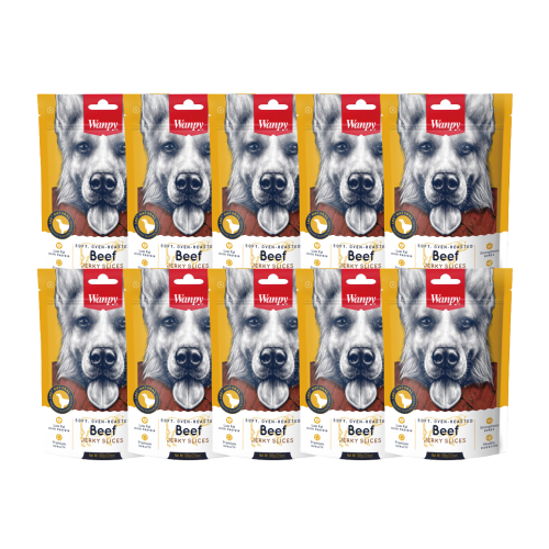 

Лакомство для собак Wanpy Dog, соломка из вяленой говядины, 10 шт по 100 г