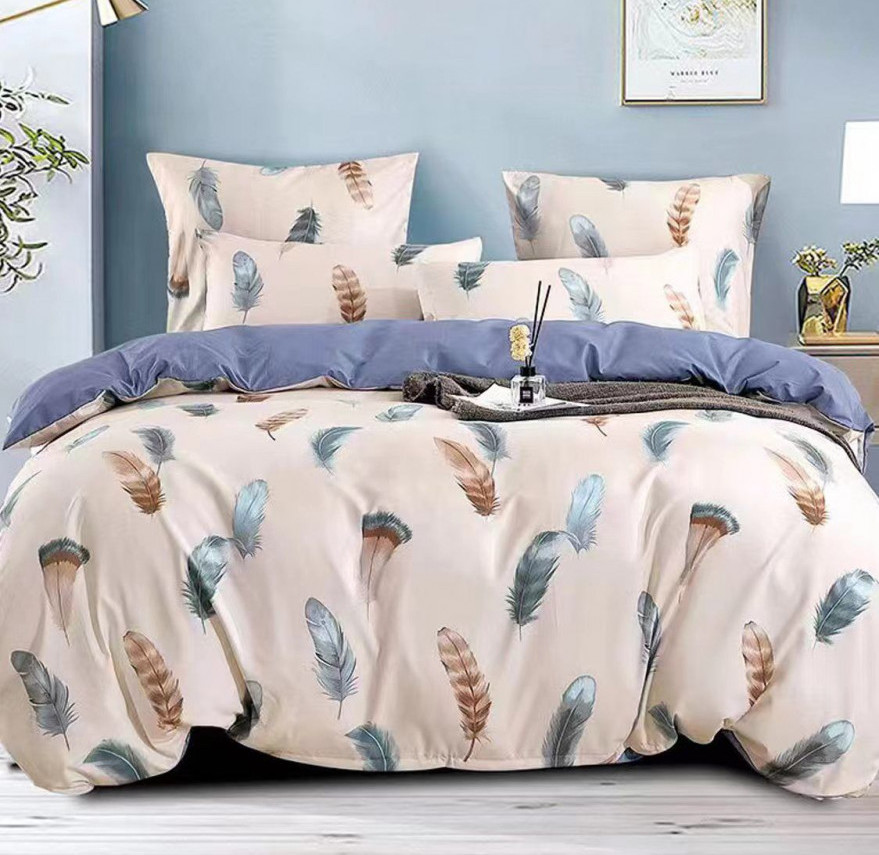 Комплект постельного белья Denvol Classic Dencl012 Евро