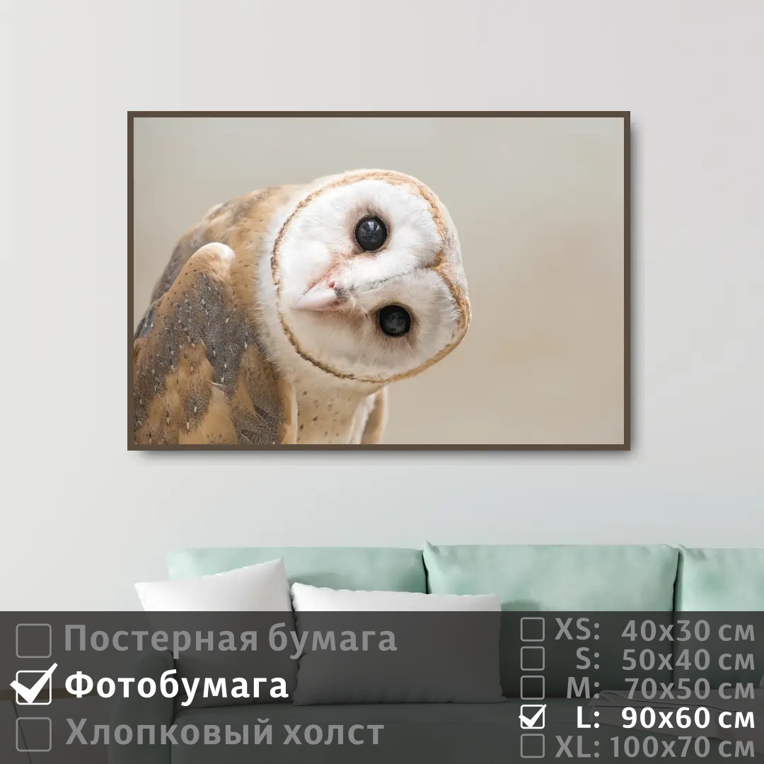 

Постер на фотобумаге ПолиЦентр Забавная сова сипуха 90х60 см, ЗабавнаяСоваСипуха