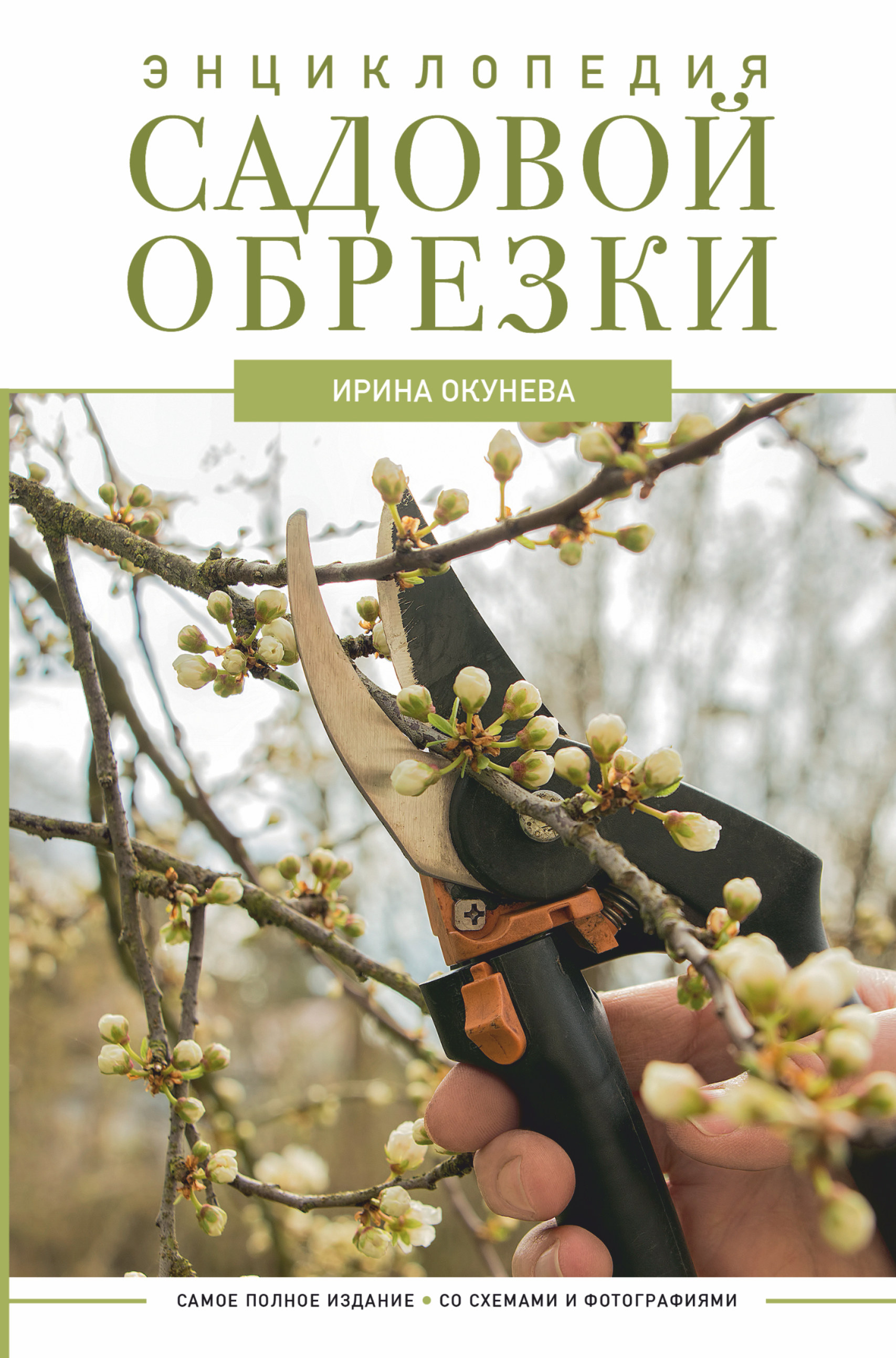 фото Книга энциклопедия садовой обрезки аст