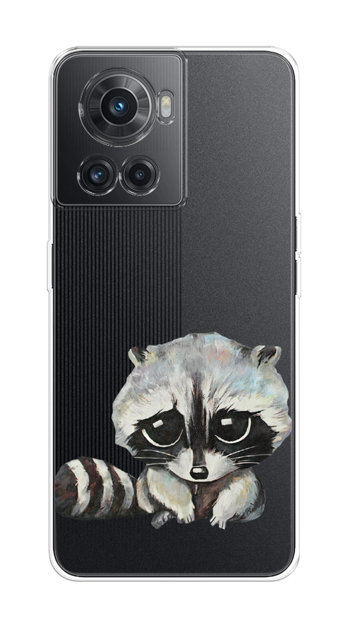 

Чехол на OnePlus 10R/Ace "Большеглазый енот", Серый;черный;прозрачный, 153050-1