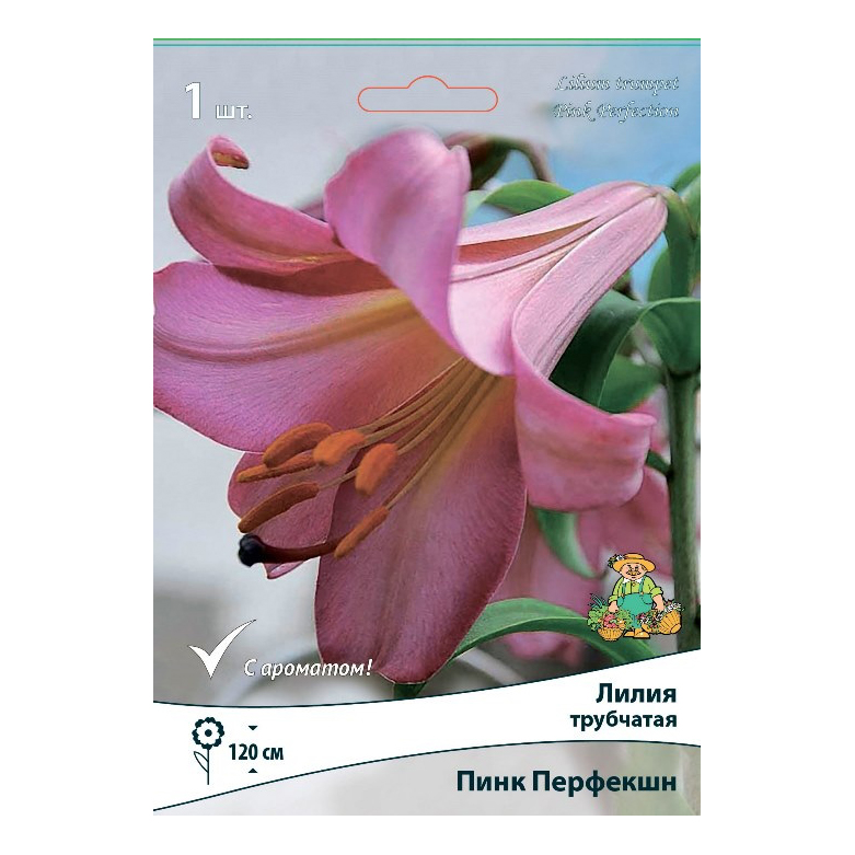 

Луковица Лилия Pink Perfection трубчатая 20 г