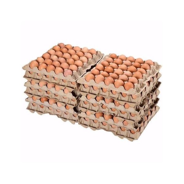 

Яйца куриные Кольцовское С1 360 шт