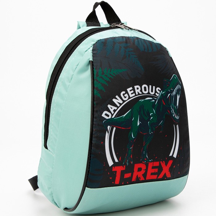 Рюкзак NAZAMOK Динозавр, 20х13х26 см, отдел на молнии, зеленый