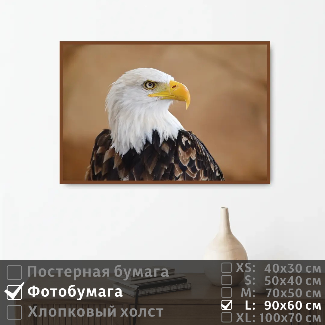 

Постер на фотобумаге ПолиЦентр Белоголовый орел 90х60 см, БелоголовыйОрел