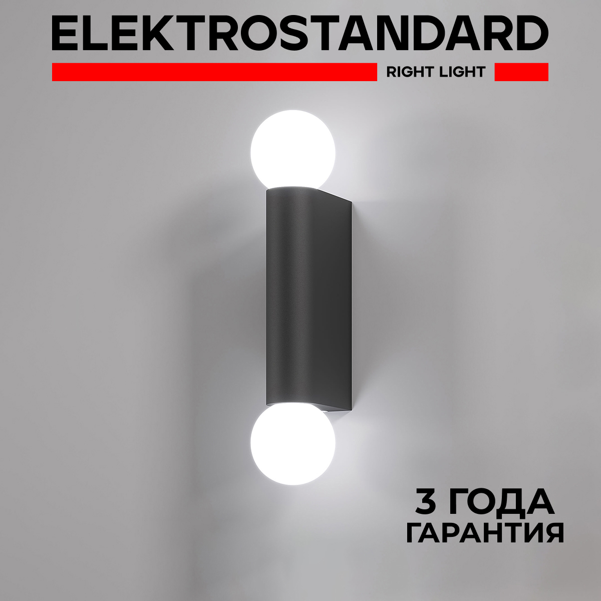 Настенный влагозащищенный светильник Elektrostandard Lily MRL 1029 черный G9 IP54