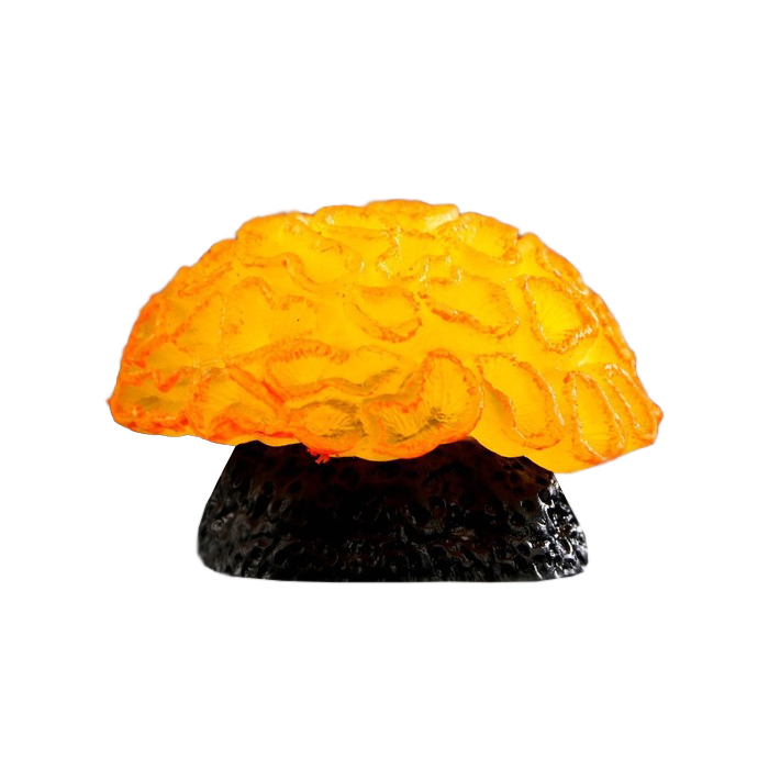 Декор для аквариума коралл Faviidae, 5 х 2,5 см, силиконовый, оранжевый