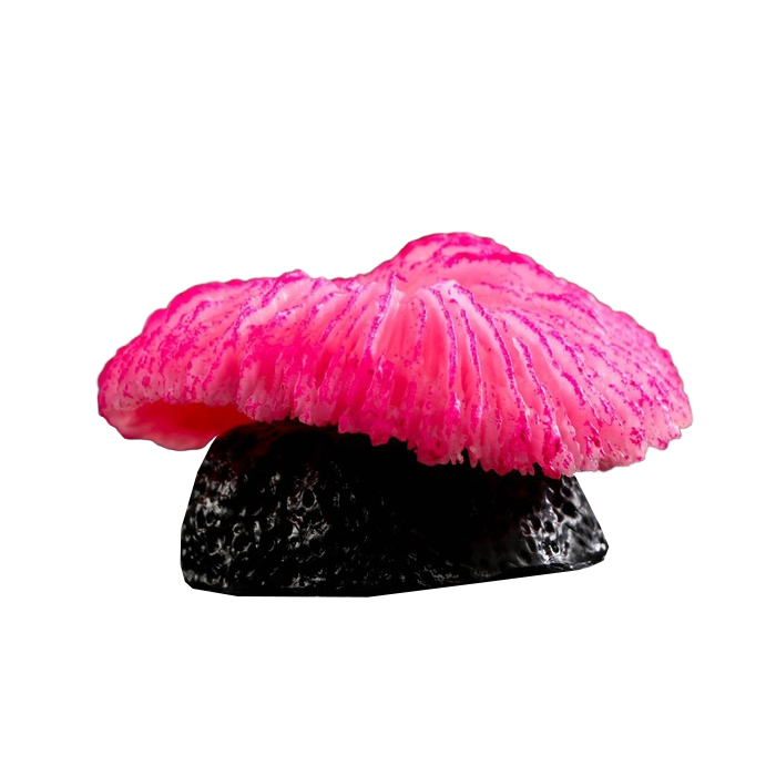 Декор для аквариума коралл Пильчатый гриб, силиконовый, 5 х 2,5 см, розовый
