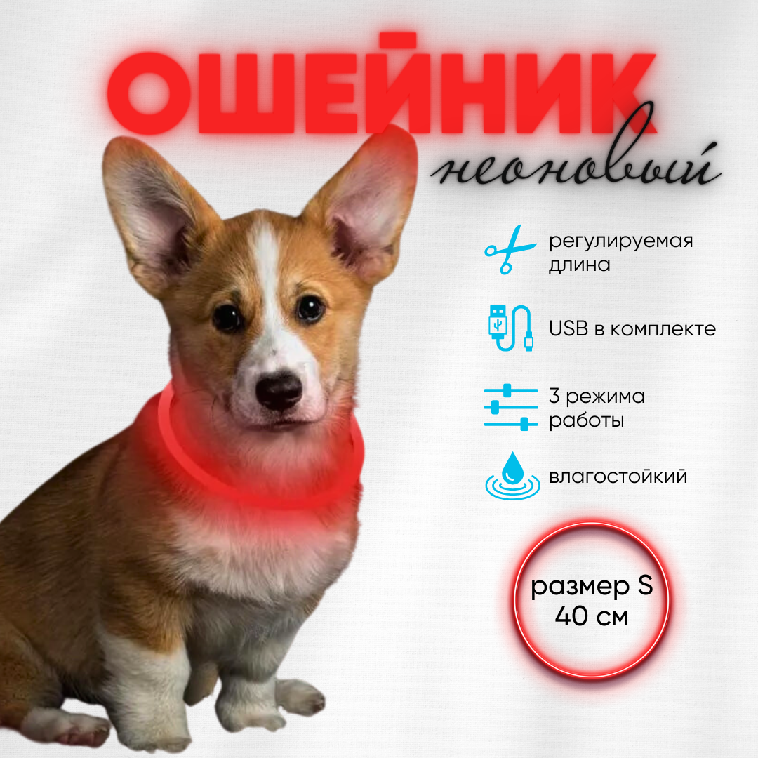

Ошейник для собак ZDK Walk со светодиодами, цвет красный, оптоволокно, 40 см, Walk
