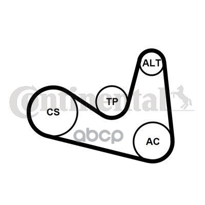 

Ремень Ручейковый 6Pk1180 Continental арт. 6PK1180K2