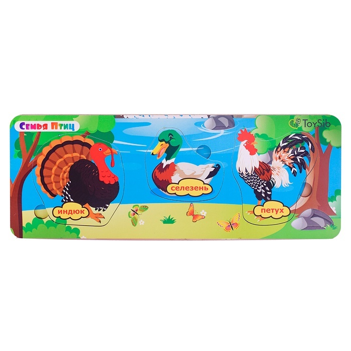 Развивающая игрушка ToySib Вкладыш больше-меньше Семья птиц
