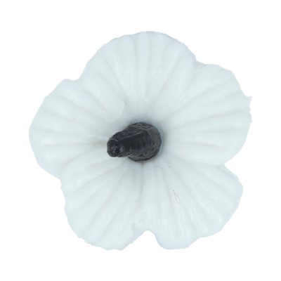 

Пуговицы Gamma 15 мм, 36 шт, №501/580, бело-черные, 15 мм, 36 шт, №501/580, бело-черные