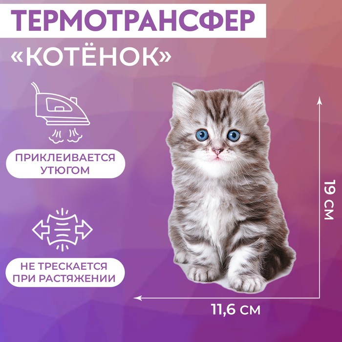 Термотрансфер Арт Узор Котёнок, 11,6 x 19 см, 5шт. 100064068316 разноцветный