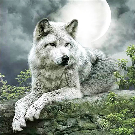 фото Алмазная мозаика стразами ripoma волк 00114033 30х30 см