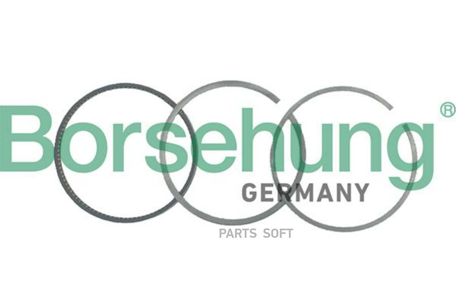 

BORSEHUNG B19046 кольца поршневые (к-т на поршень) 1шт