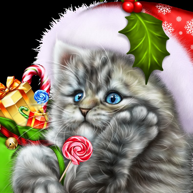 фото Алмазная мозаика стразами ripoma котёнок в новогоднем колпаке 00114250 30х40 см
