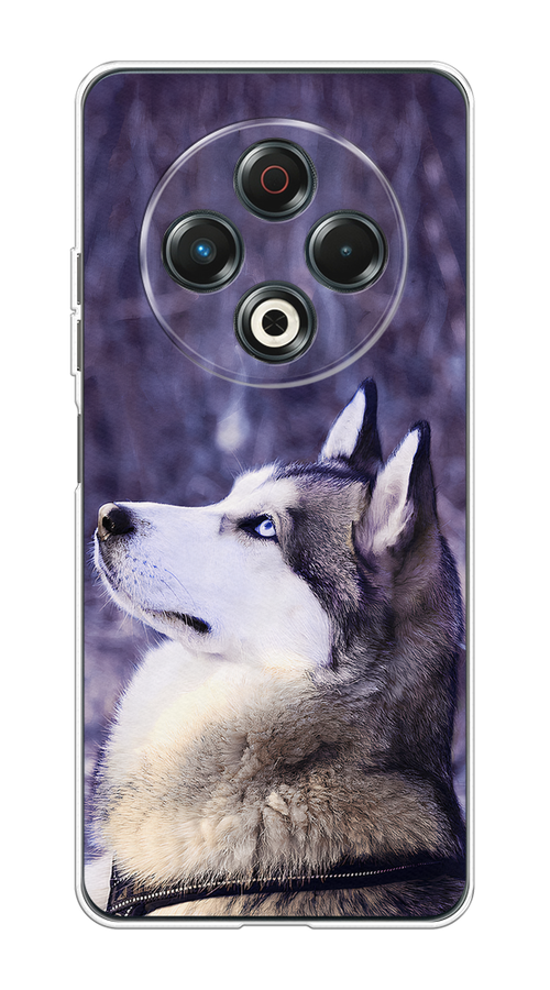 

Чехол на Tecno Spark 30 Хаски 1, Фиолетовый;белый, 309150-1