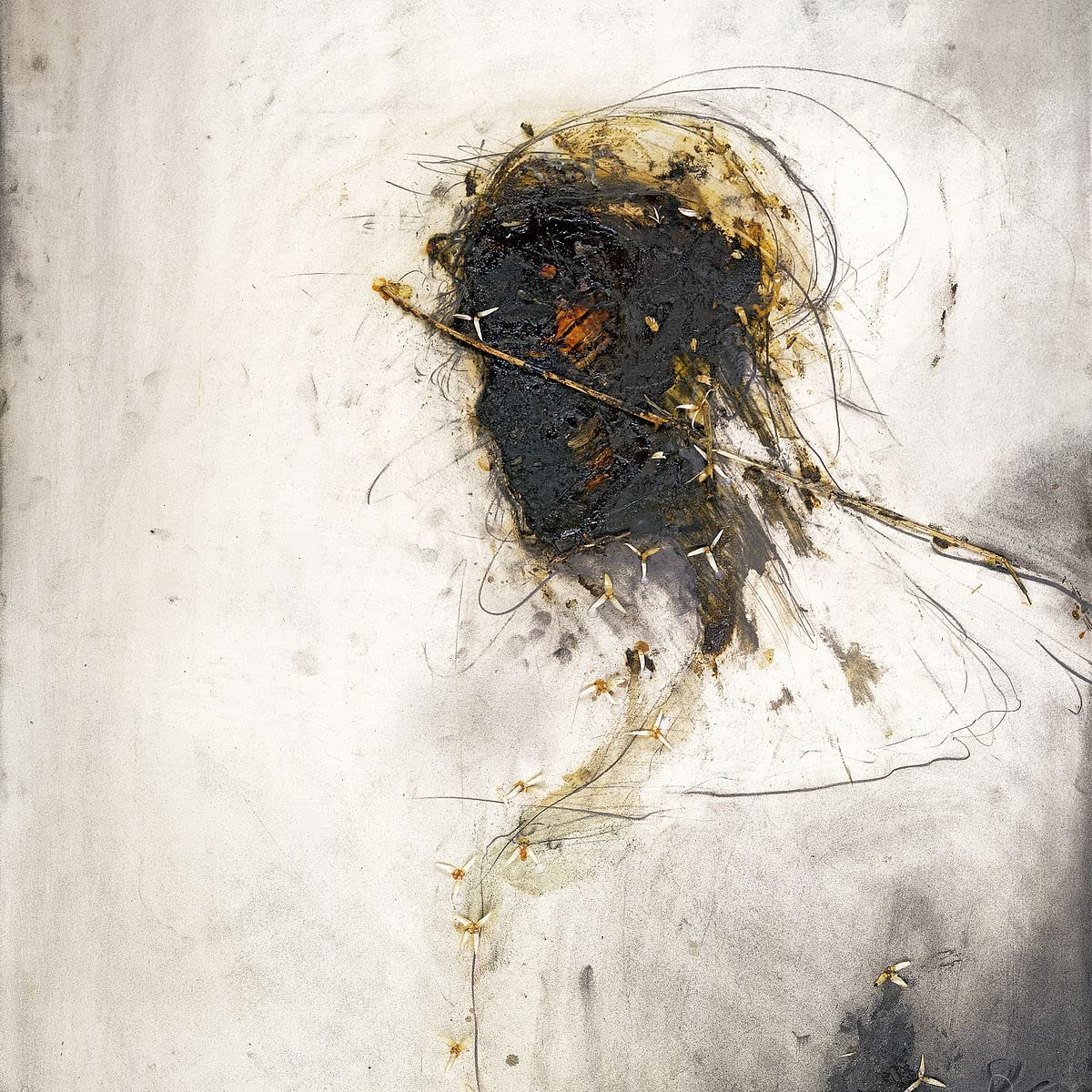 

Peter Gabriel Passion (2Винил)