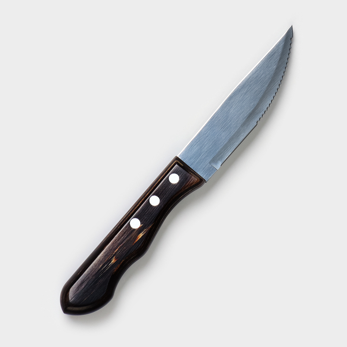 Нож TRAMONTINA Polywood Jumbo 21116095-TR, для мяса, лезвие 12,5 см