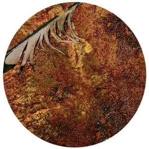 Nine Inch Nails: The Downward Spiral (180g) (Picture Disc)