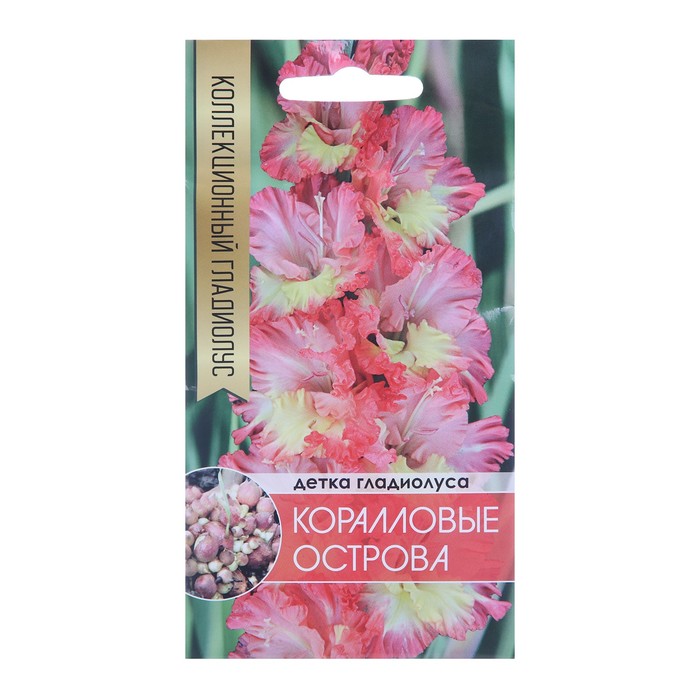 

Клубни гладиолус Коралловые острова 9590490 5 шт.