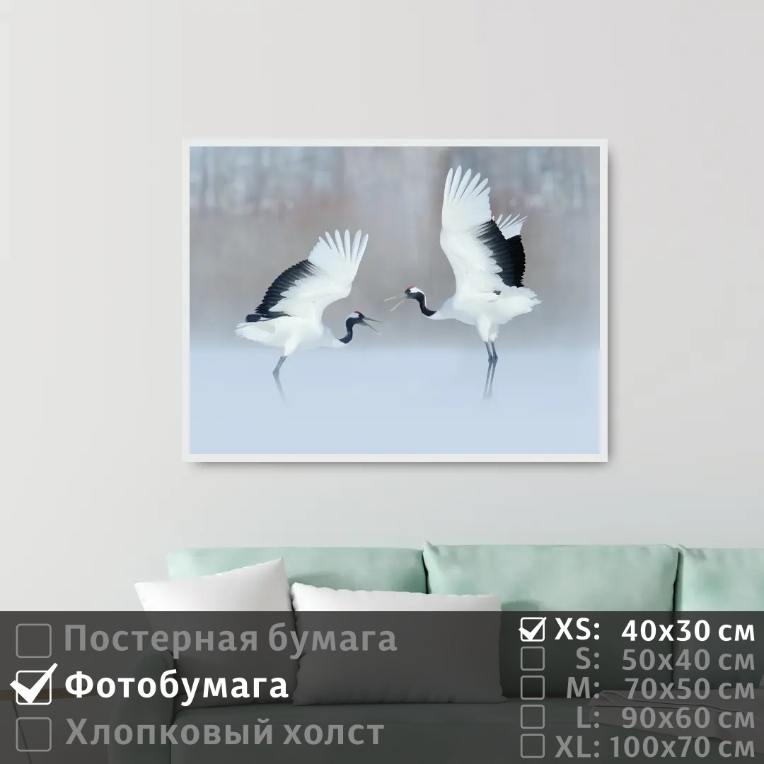 

Постер на фотобумаге ПолиЦентр Два аиста в снежном лесу 40х30 см, ДваАистаВСнежномЛесу