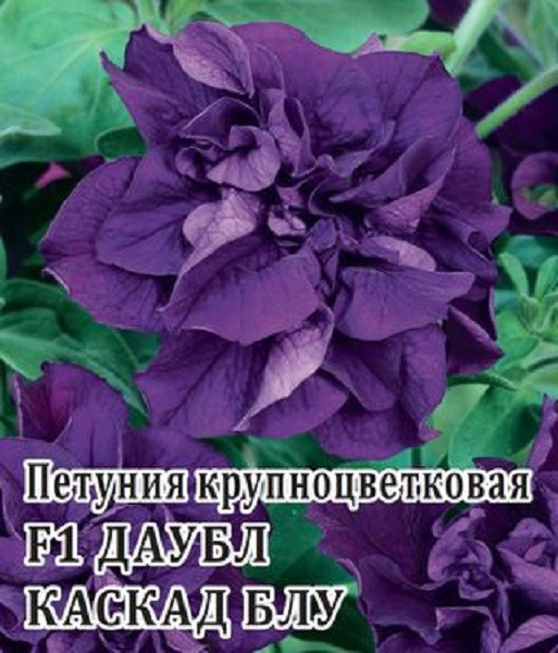 

Семена петуния Даубл Каскад Блу F1 Гавриш 1071856161-1 1 уп.