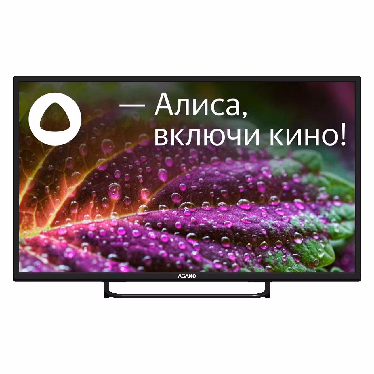 

Телевизор ASANO 32LH8110T, 32"(81 см), HD, Черный, 32LH8110T