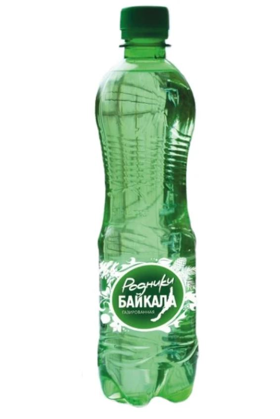 

Вода питьевая Родники Байкала газированная 0,5 л