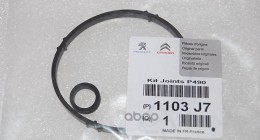 

Прокладка масляного фильтра PEUGEOT: 106, 206, 306, 307, PARTNER \ CITROEN: BERLINGO, C2,