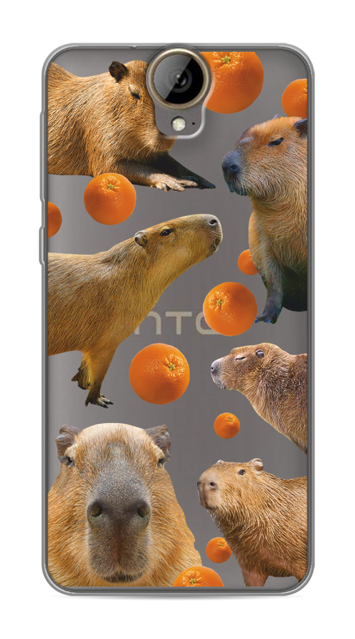 

Чехол на HTC One E9 Plus "Капибара и апельсины", Бежевый;оранжевый, 102250-1