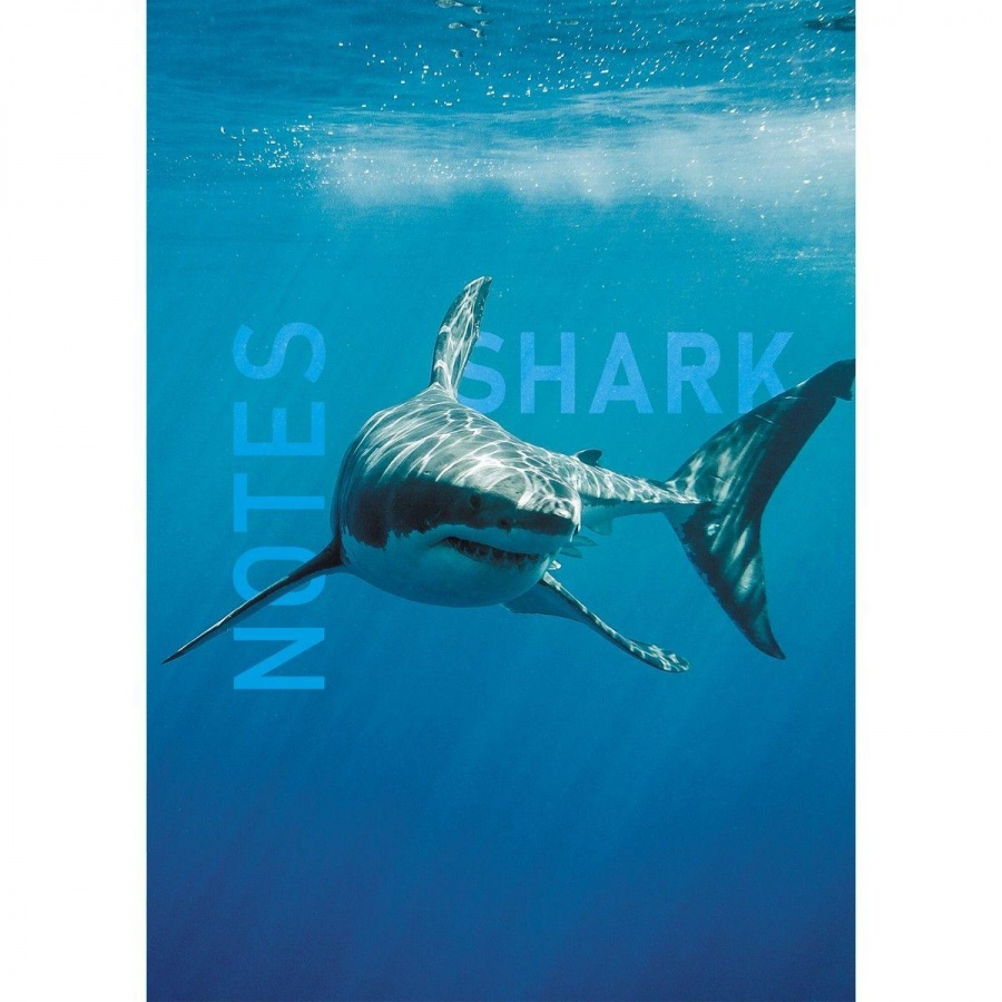 фото Записная книжка а5 listoff shark, 80 листов, клетка, интегральная обложка